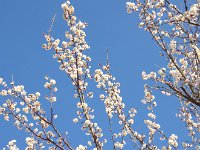 翁・・・輝く白髪を連想します