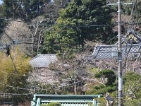 山全体がお寺さんという感じですね