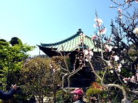 可愛らしい本堂