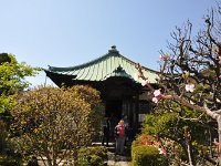 外人さんも・・・物珍しさから？