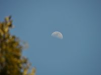 月がかかってました