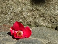 このカメラマンは？