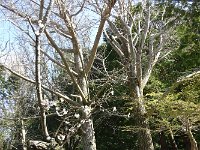 誰の作品でしょう？