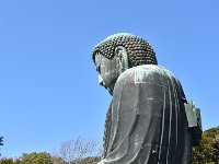 体内巡りの入り口