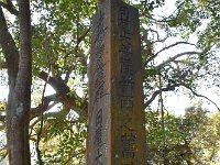 倒れかかってます