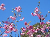 何とも、綺麗！