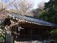 異国情緒が溢れてますね