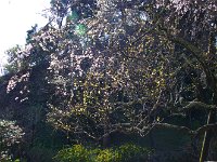 日を受けて・・・