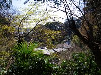 如何も鎌倉という風情が・・・