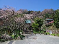 山門と緑滴る裏山