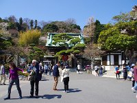 マルチナショナルな人並み