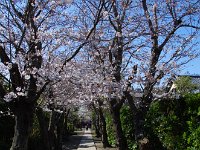 700✕700の敷地が有ったとか・・・将に、夢幻の如く！