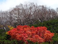 DSC02912