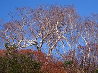 DSC02915