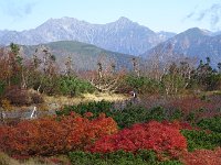 DSC02918