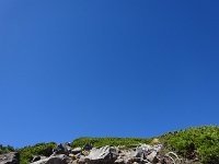 DSC02964