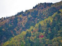DSC 0057 R