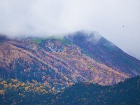 DSC 0324 R