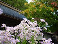山門付近