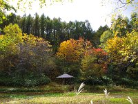真癡かねた、光がやっと来た