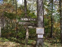 20分掛けて、登ってきました。