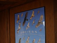 こんなに、見られるとは・・・