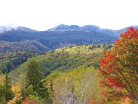 高原の秋模様