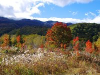 高原の秋景色