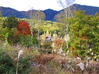 詫た山里