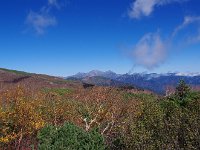 大展望