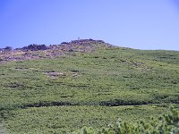 登る人