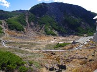 夏は見事でしょう！