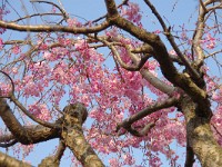 頂上部が凄い！