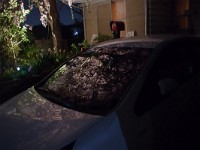 面白いでしょう？