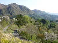 羊腸の峠道
