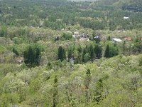 DSC02320