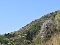 まさに、春の訪れ