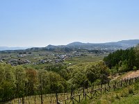 DSC 0040