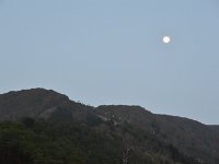 DSC 0154