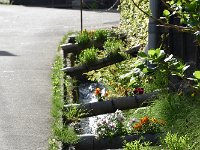 DSC 0252