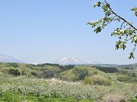 DSC 0273