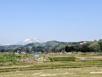 DSC 0288