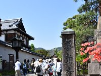 DSC 0365