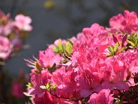 DSC 0373