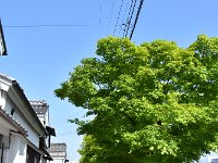 駐車場へ