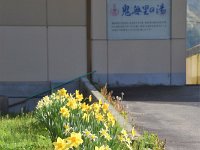 DSC 0495