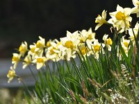 DSC 0518