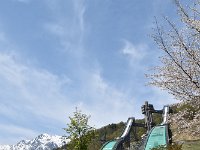 DSC 0557