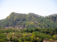 山桜がチラホラと