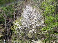 IMG 9470